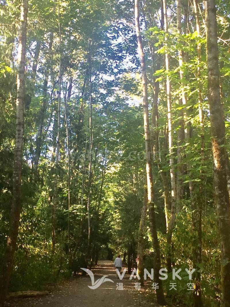 260317231047_170811191540_park trail 2.jpg